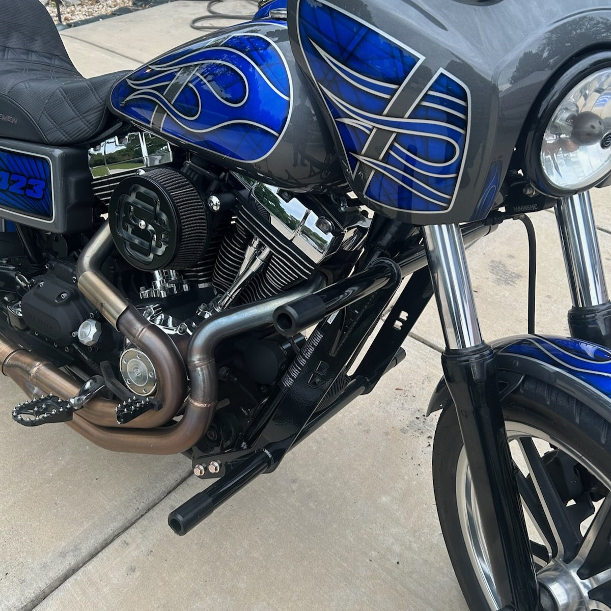 Dyna Crash Bar Cage 1995-2017