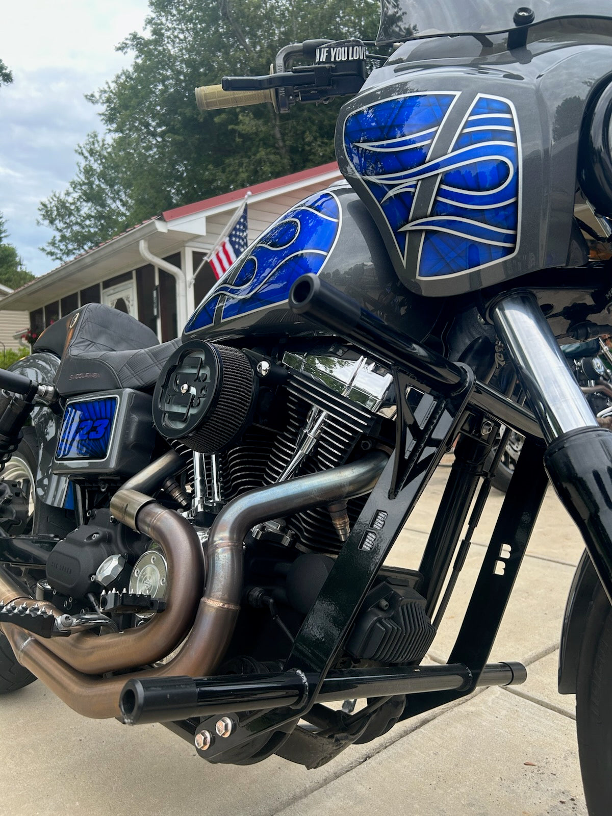 Dyna Crash Bar Cage 1995-2017