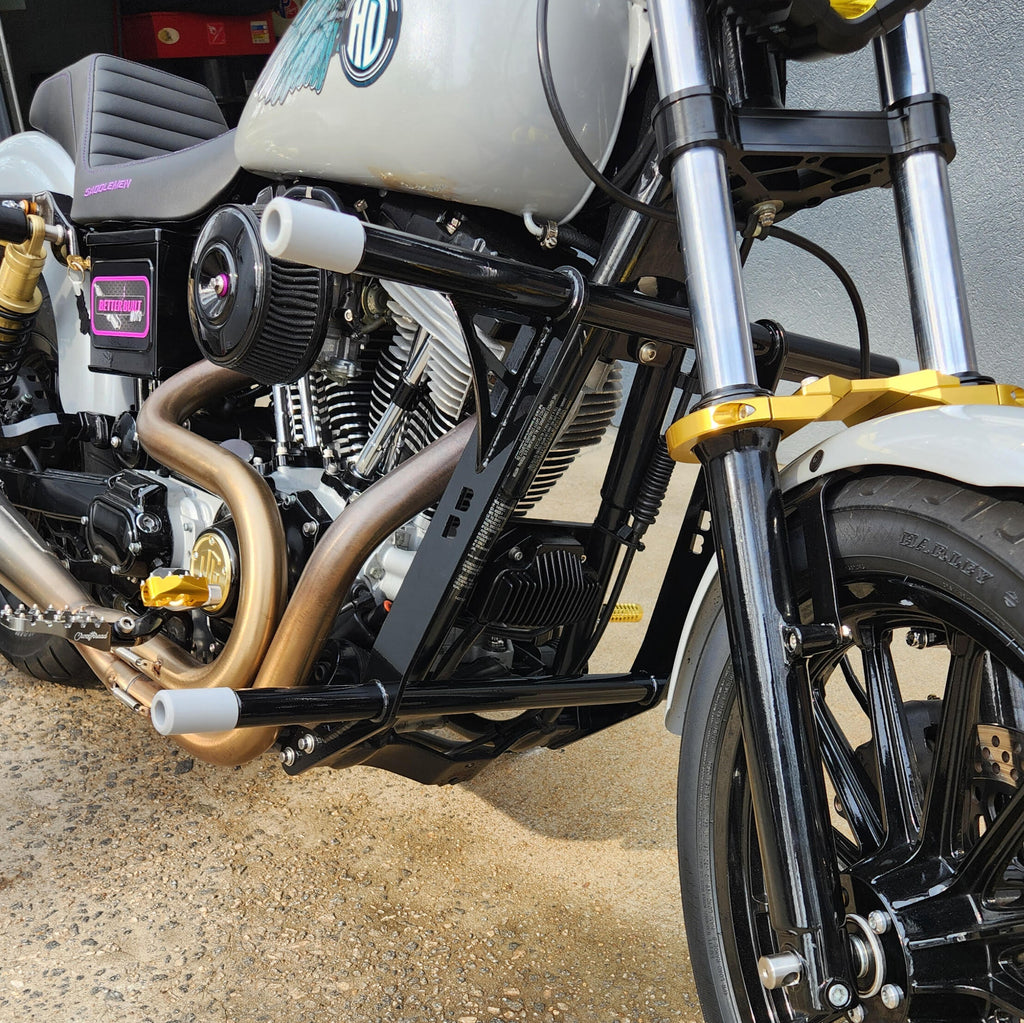 Dyna Crash Bar Cage 1995-2017